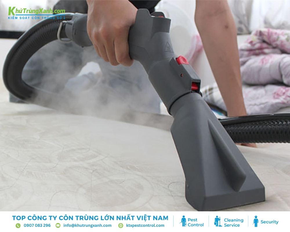 Dùng máy hút bụi làm sạch toàn bộ thảm, nệm thường xuyên
