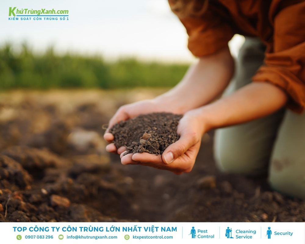 Đất tảo có tác dụng triệt tiêu bọ chét lâu dài
