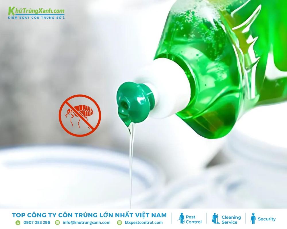 Nước rửa chén có thể bẫy và diệt bọ chét hiệu quả