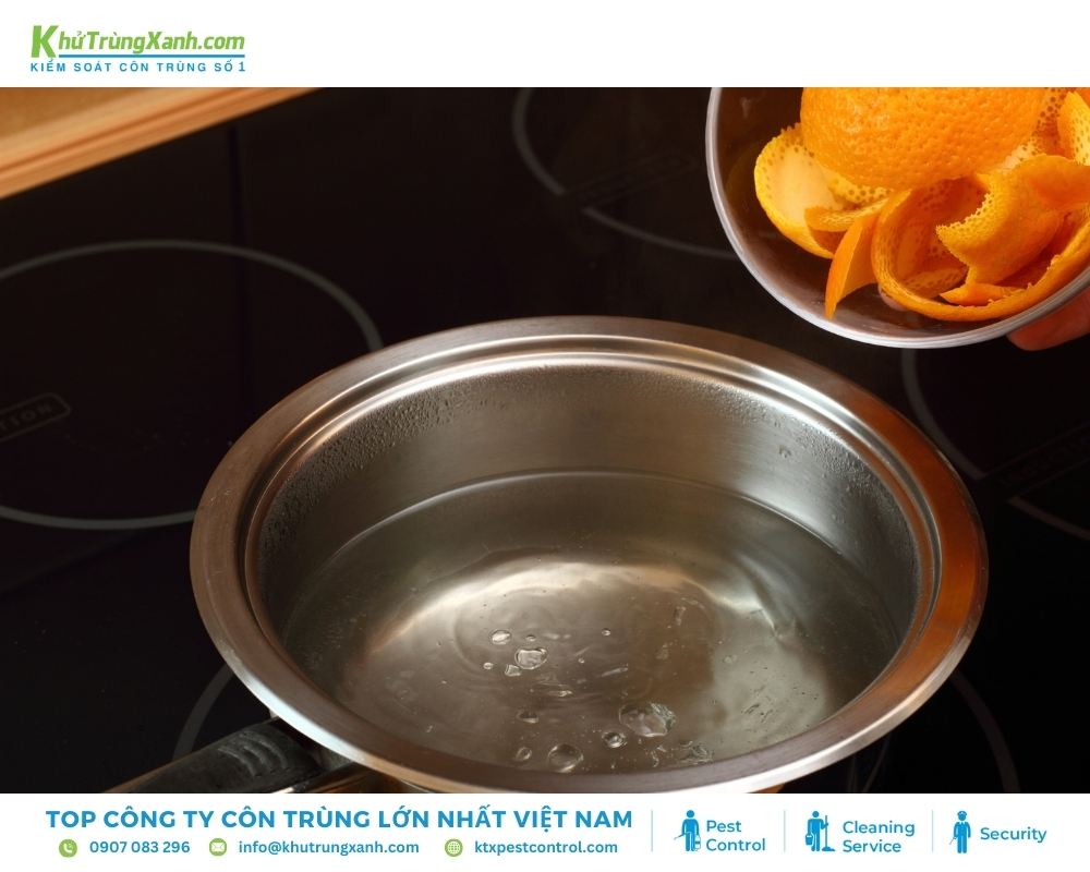 Dùng nước vỏ cam đun sôi 2-3 lần mỗi tuần để đuổi rệp giường