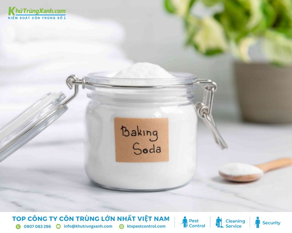 Rắc baking soda lên các vị trí có rệp giường để tiêu diệt chúng