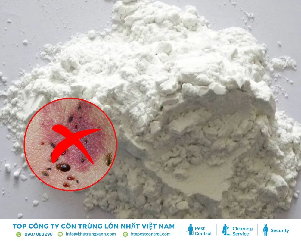 Dùng đất bột diatomite để loại bỏ rệp giường nhanh chóng
