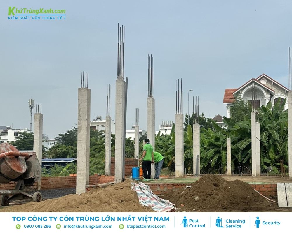 Trường hợp diệt mối trước khi xây nhà