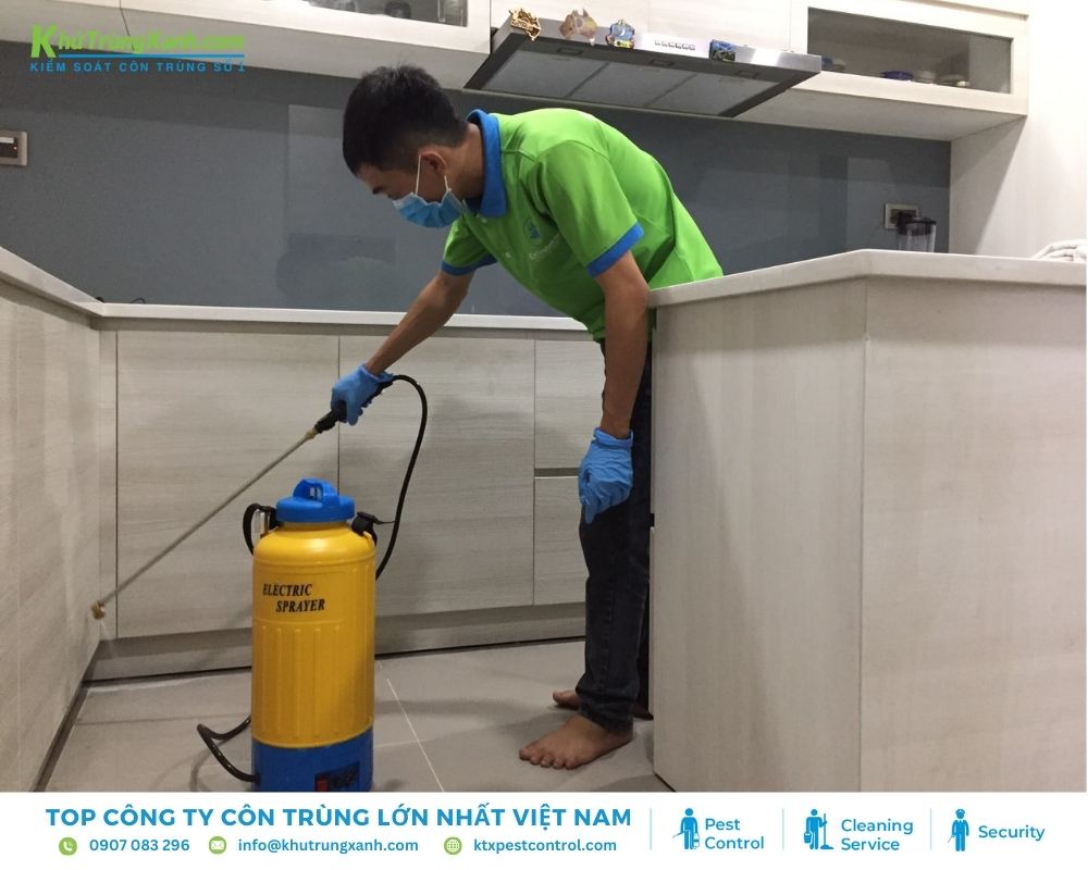 Áp dụng xenlulo để phòng chống mối