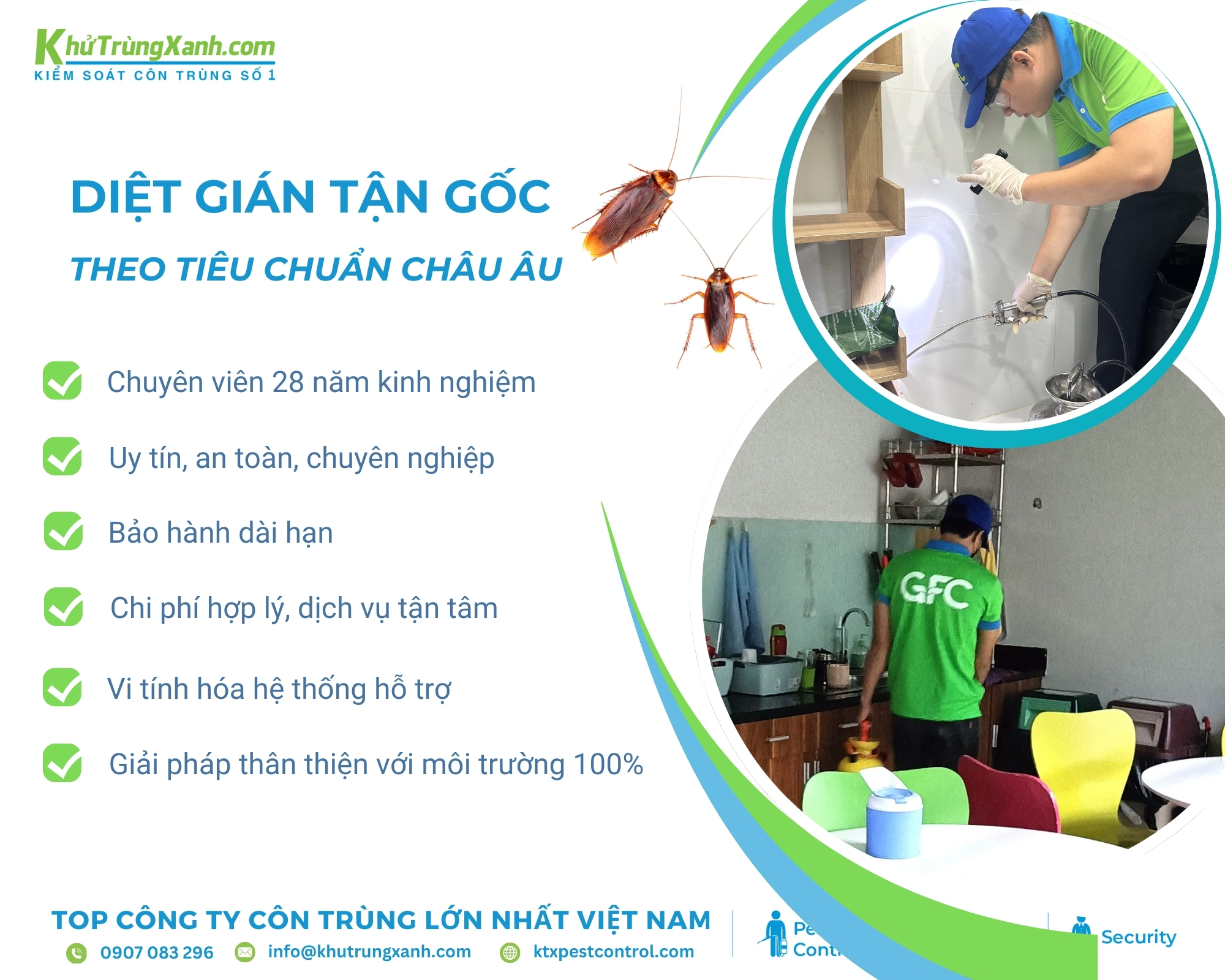 Dịch vụ triệt tiêu gián của Diệt côn trùng KTX an toàn, hiệu quả