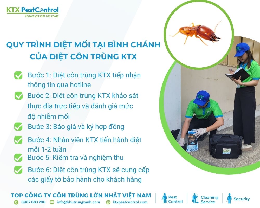 Dịch vụ diệt mối của Diệt côn trùng KTX chuyên nghiệp