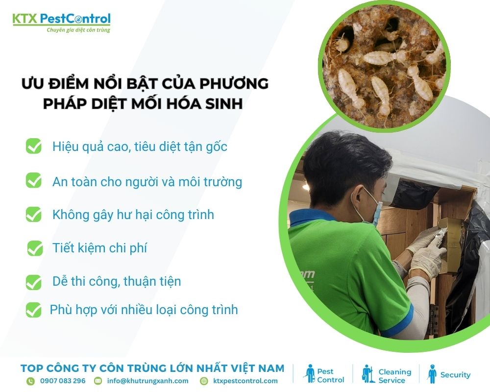 Nhờ cơ chế truyền nhiễm trong tổ mối, phương pháp hóa sinh giúp tiêu diệt toàn bộ tổ mối