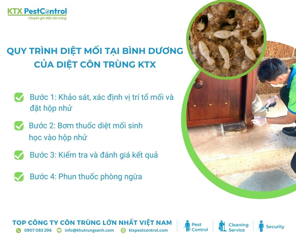 Quy trình diệt mối bằng phương pháp hóa sinh tại Bình Dương của Diệt côn trùng KTX