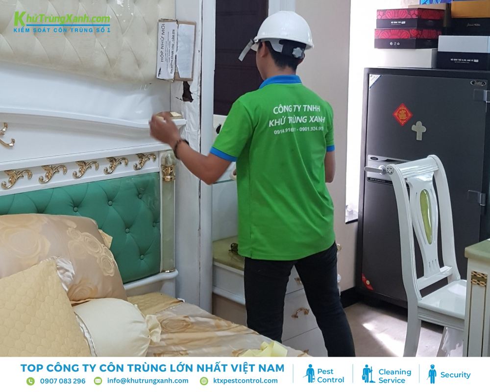 Diệt côn trùng KTX triển khai diệt mối tại nhà ở, nhà xưởng, văn phòng,...