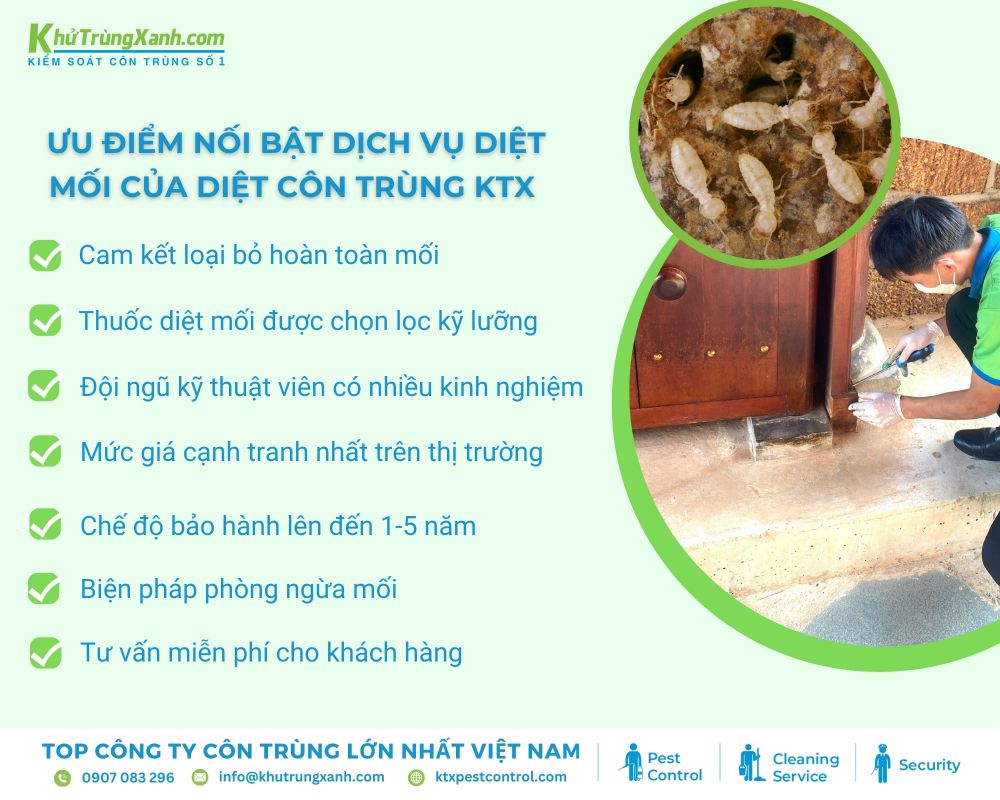 Diệt côn trùng KTX cam kết loại bỏ hoàn toàn mối
