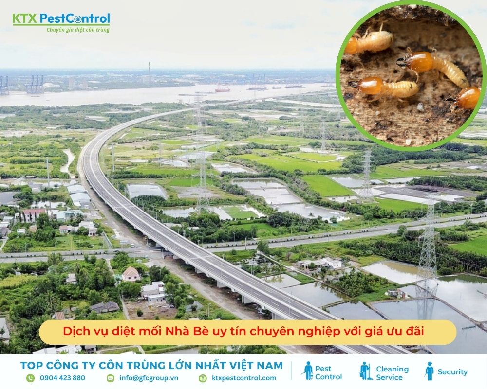 Dịch vụ diệt mối Nhà Bè uy tín chuyên nghiệp với giá ưu đãi
