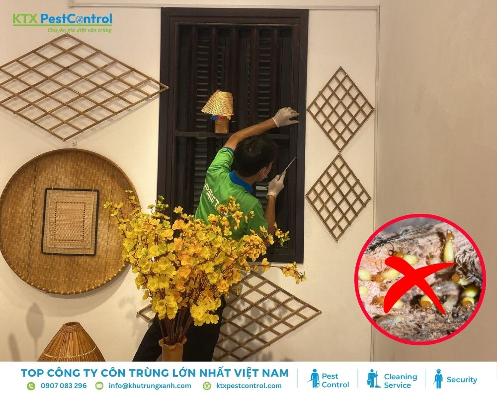 Chuyên gia tại KTX tiến hành xử lý khu vực mối tại Nhà Bè