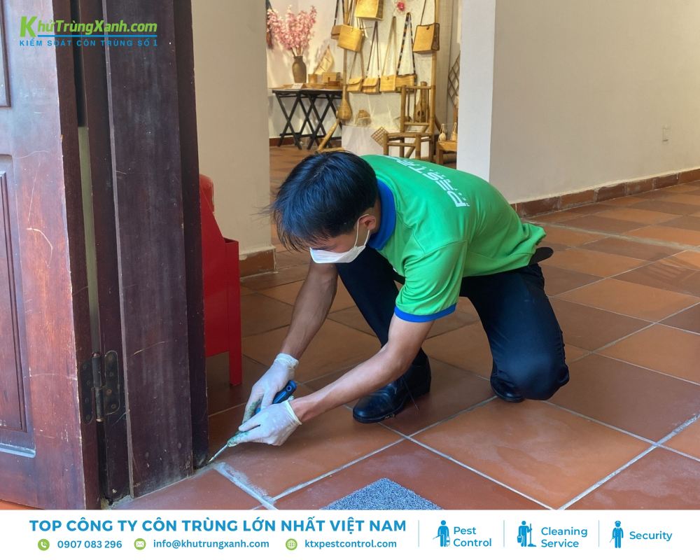 Diệt côn trùng KTX cung cấp dịch vụ diệt mối trên toàn bộ khu vực Quận Phú Nhuận.
