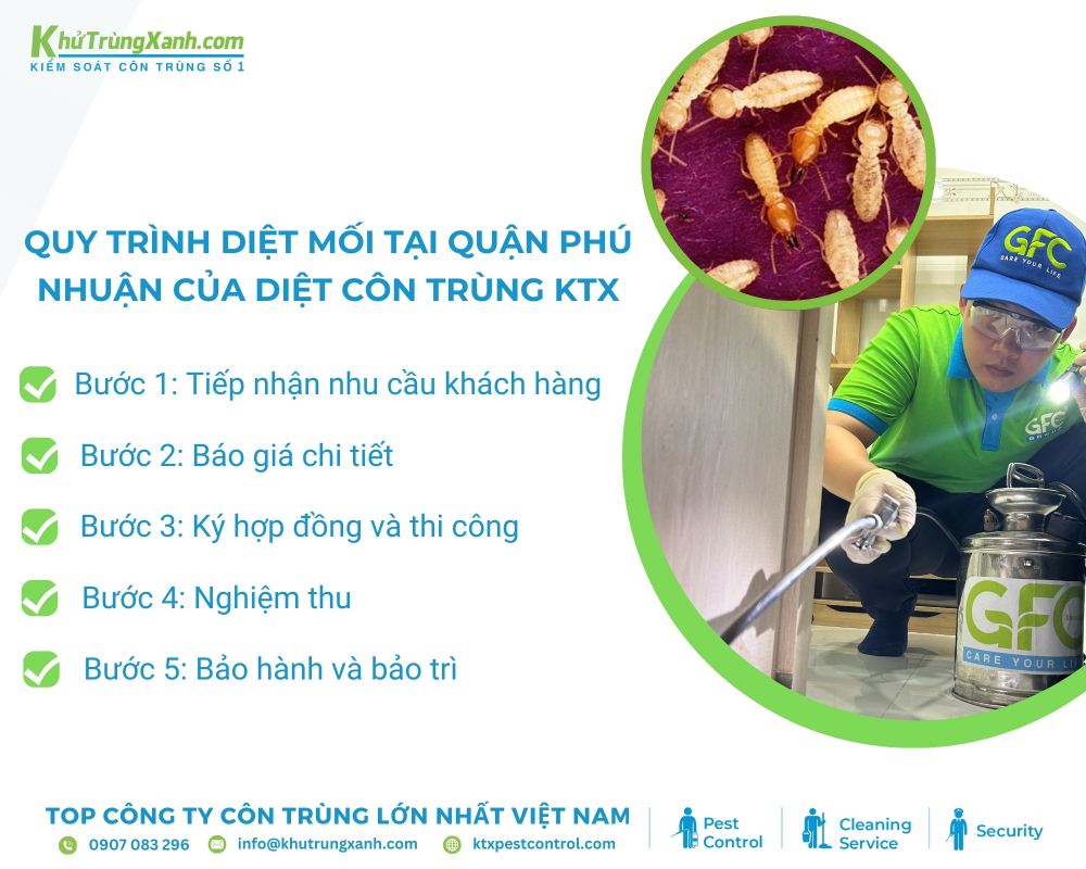 Quy trình cung cấp dịch quy trình dịch vụ diệt mối tại quận Phú Nhuận