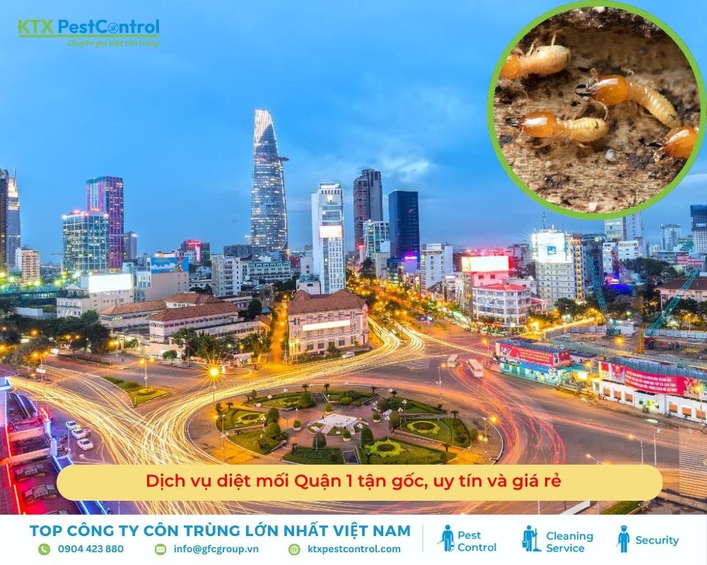 Dịch vụ diệt mối Quận 1 tận gốc, uy tín và giá rẻ