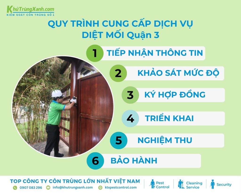 Diệt côn trùng KTX cung cấp quy trình triển khai dịch vụ diệt mối tại quận 3