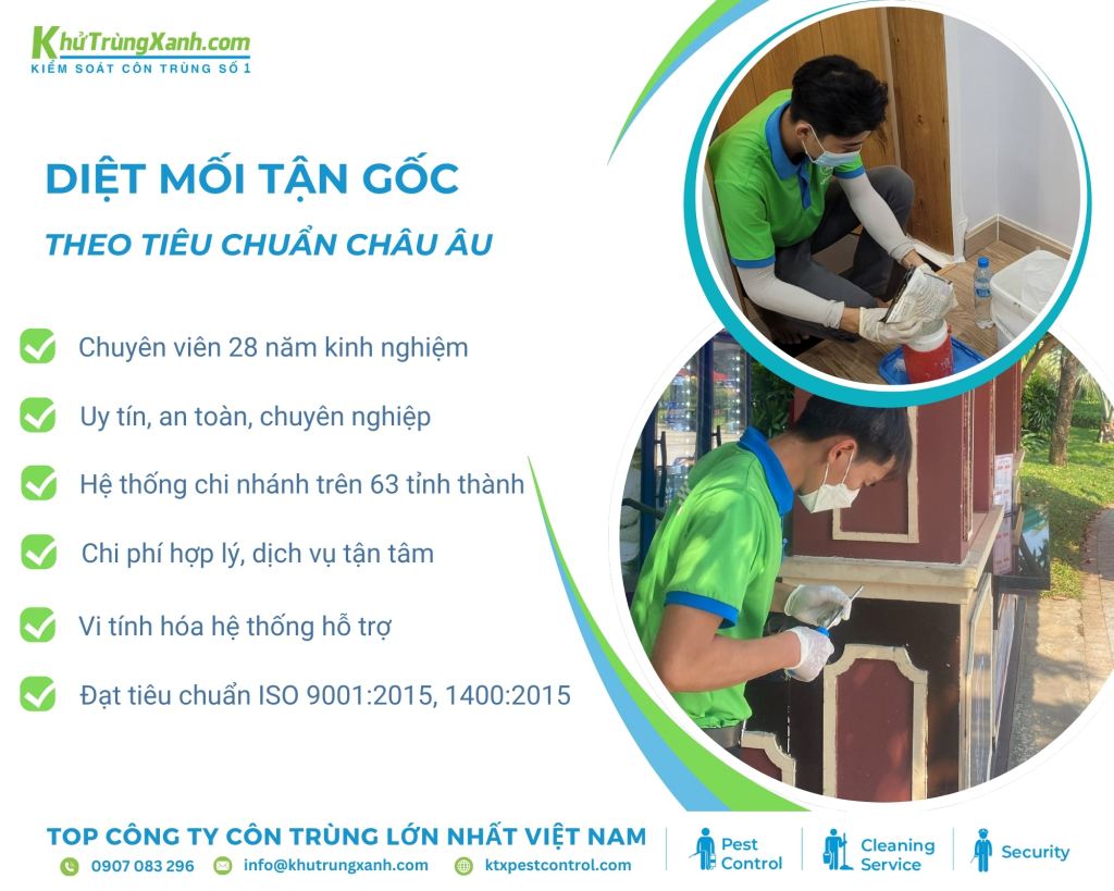 Đội ngũ kỹ thuật viên của Diệt côn trùng KTX có 28 năm kinh nghiệm trong lĩnh vực diệt mối