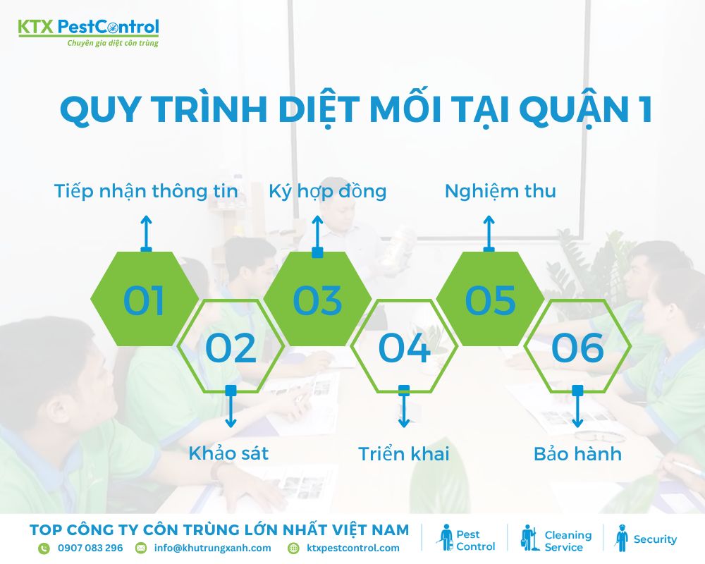 Quy trình triển khai dịch vụ diệt mối Quận 1 tại Diệt côn trùng KTX