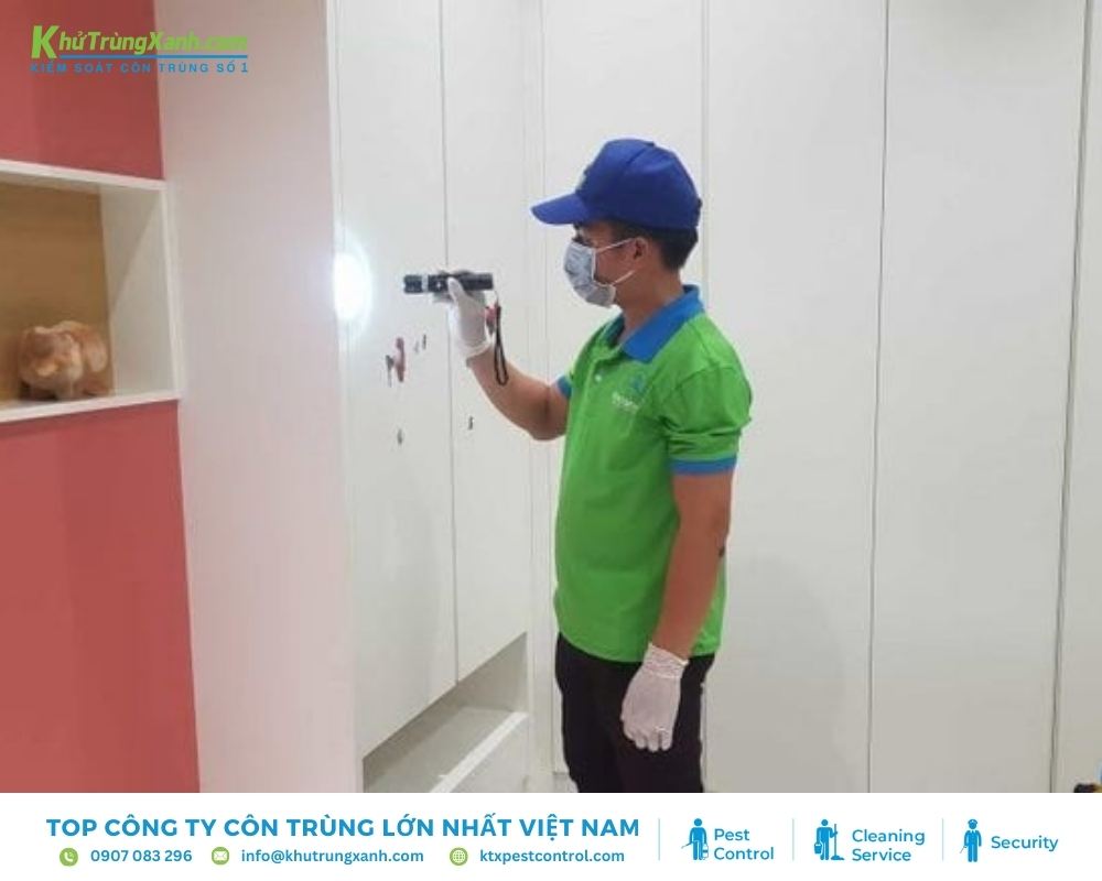 Đội ngũ kỹ thuật viên Diệt côn trùng KTX khảo sát tình trạng nhiễm mối
