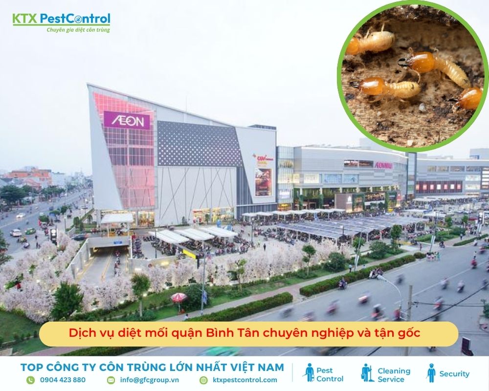 Dịch vụ diệt mối quận Bình Tân chuyên nghiệp và tận gốc