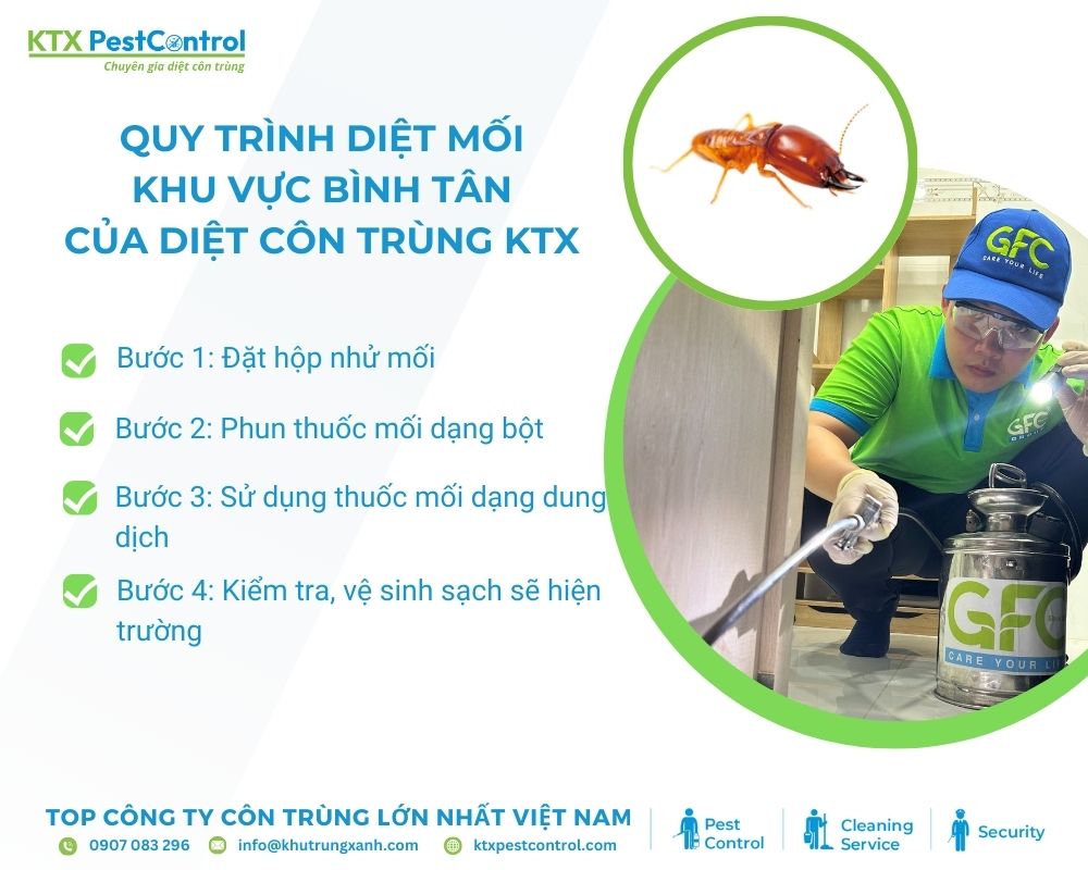 Diệt côn trùng KTX đảm bảo quy trình diệt mối Bình Tân hiệu quả, chuyên nghiệp