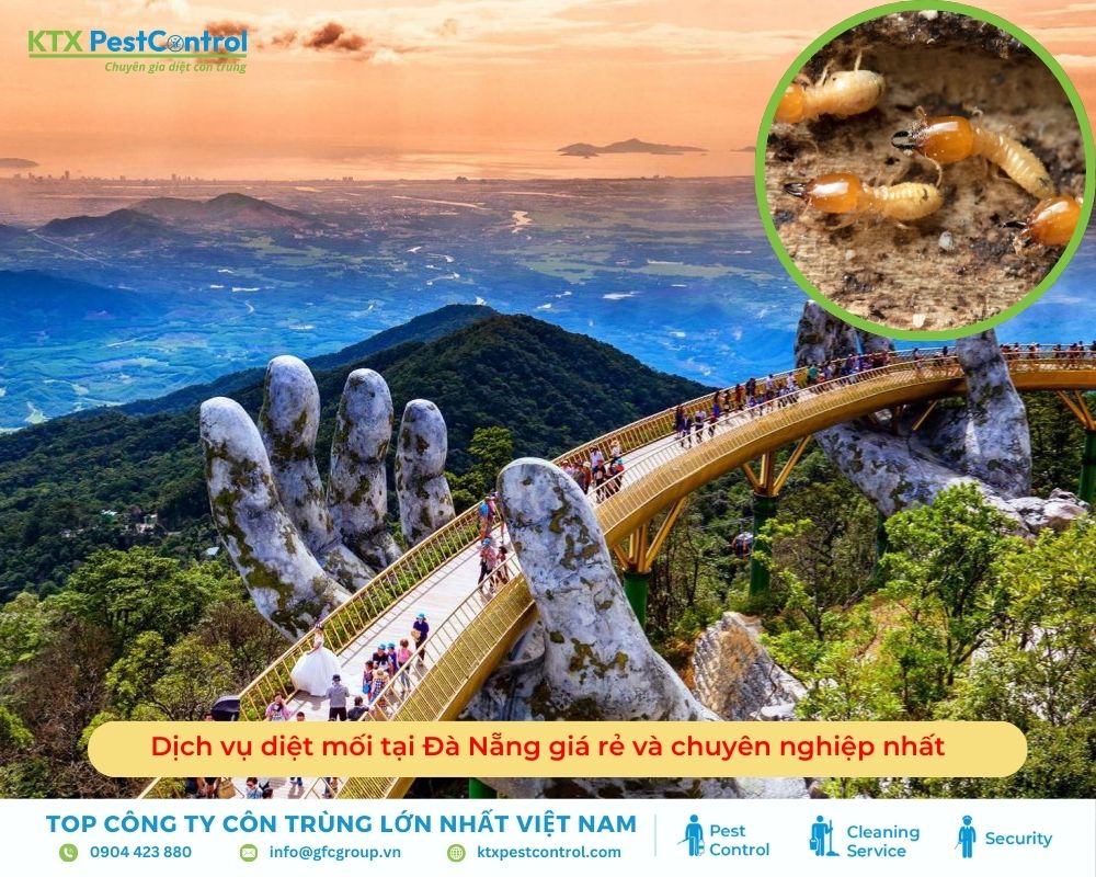 Dịch vụ diệt mối tại Đà Nẵng giá rẻ và chuyên nghiệp nhất