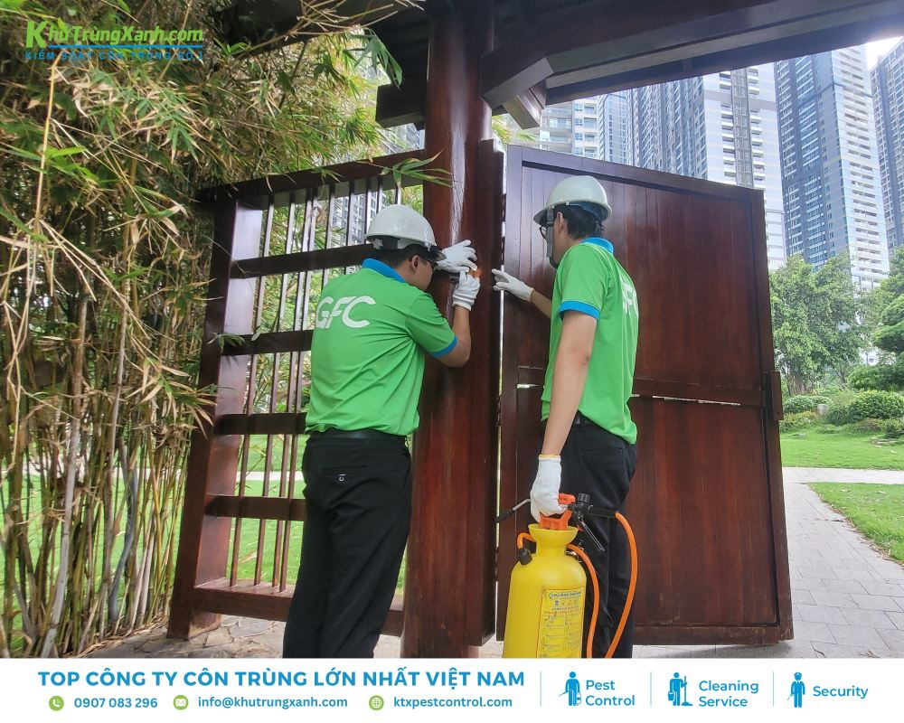 Đơn vị KTX đang tiến hành xác định và tiêu diệt ổ mối tận gốc