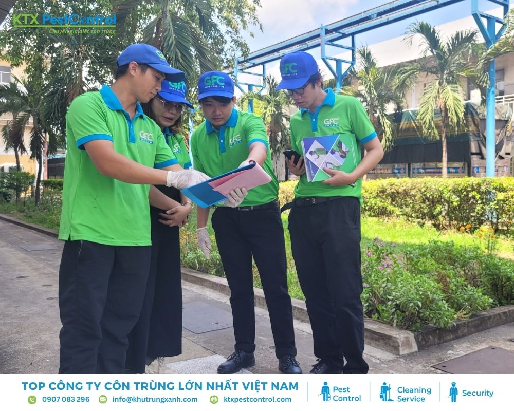 Diệt côn trùng KTX giải pháp diệt mối chuyên nghiệp