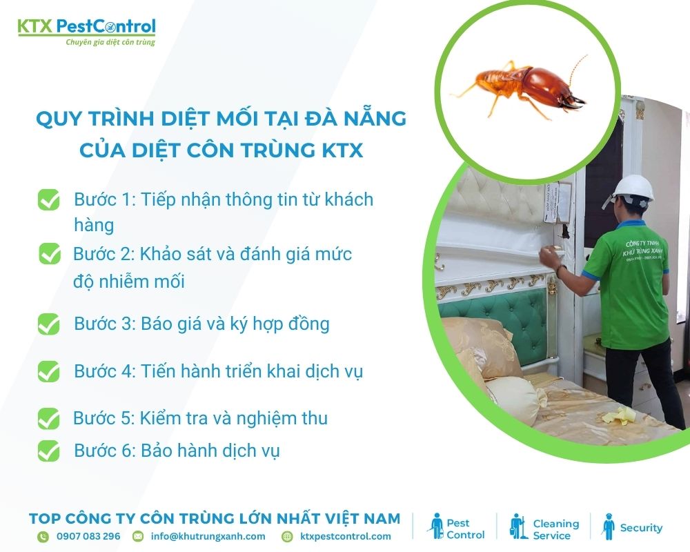 Quy trình diệt mối tại Đà Nẵng chuyên nghiệp, hiệu quả cao, cam kết bảo hành dài hạn