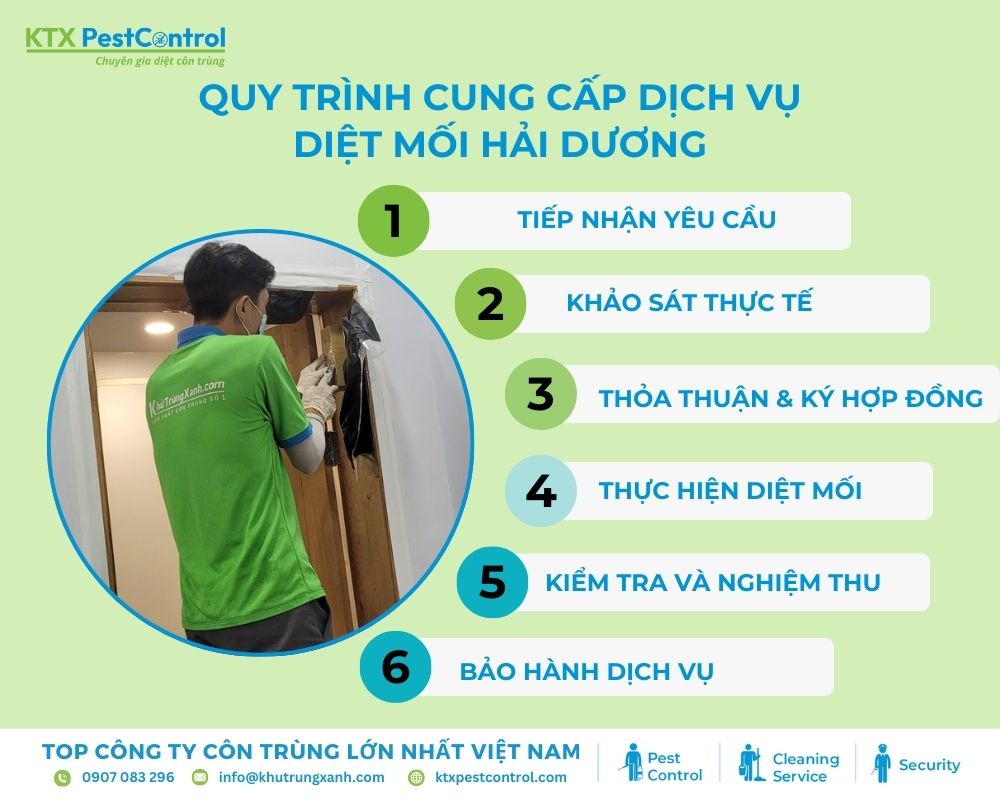 Quy trình diệt mối tại Hải Dương tận gốc của KTX