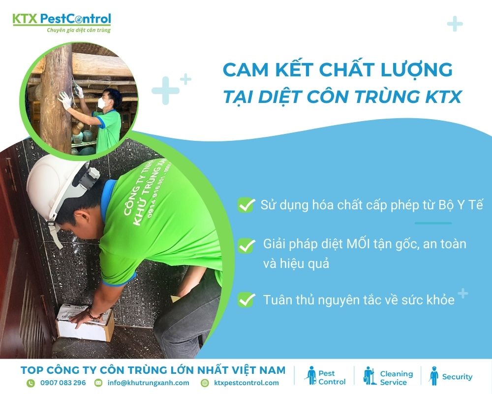 Đội ngũ kỹ thuật viên của Diệt côn trùng KTX giàu kinh nghiệm, quy trình làm việc khoa học