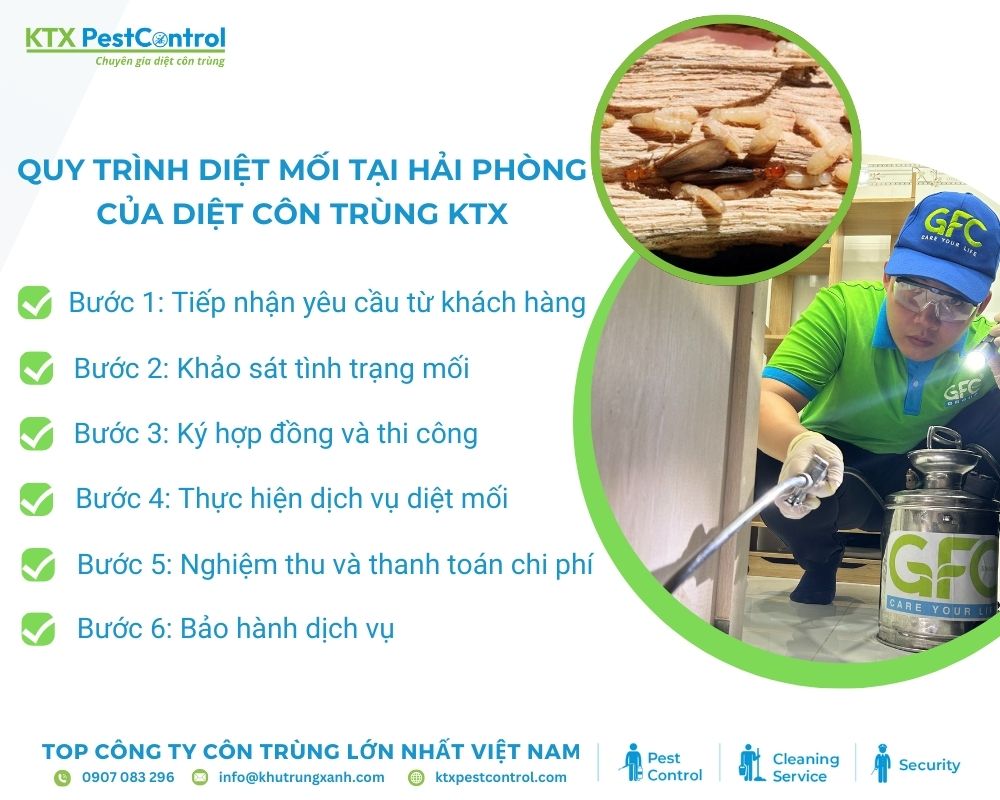 Quy trình diệt mối tại Hải Phòng của Công ty Diệt côn trùng KTX