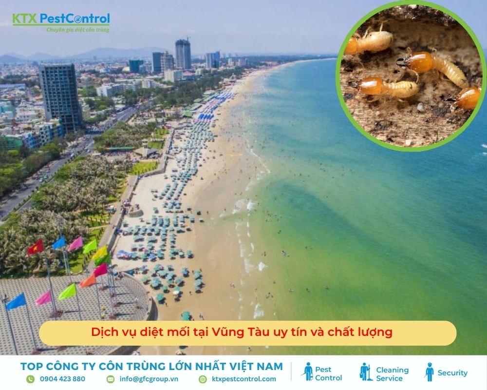 Dịch vụ diệt mối tại Vũng Tàu uy tín và chất lượng