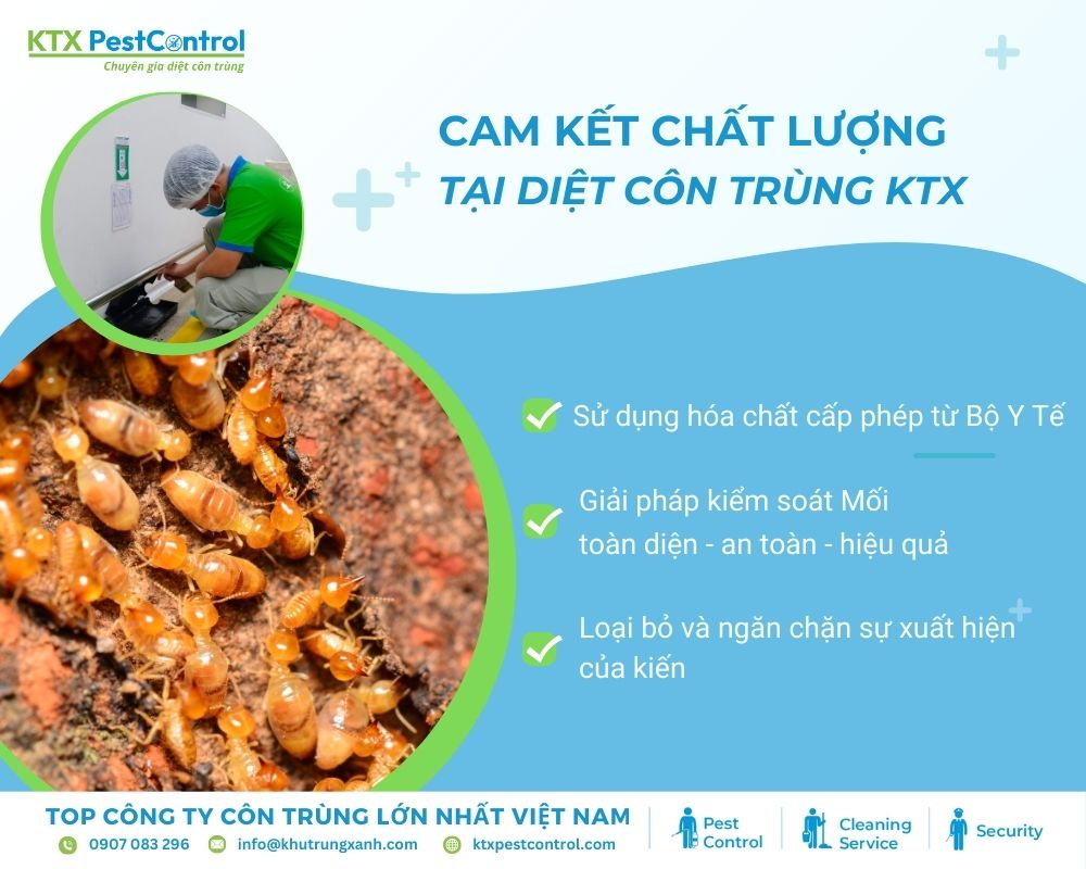 Diệt côn trùng KTX sử dụng sản phẩm an toàn để loại bỏ mối mọt