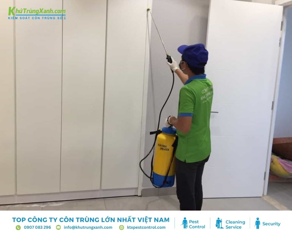 Phun thuốc để diệt mối triệt để
