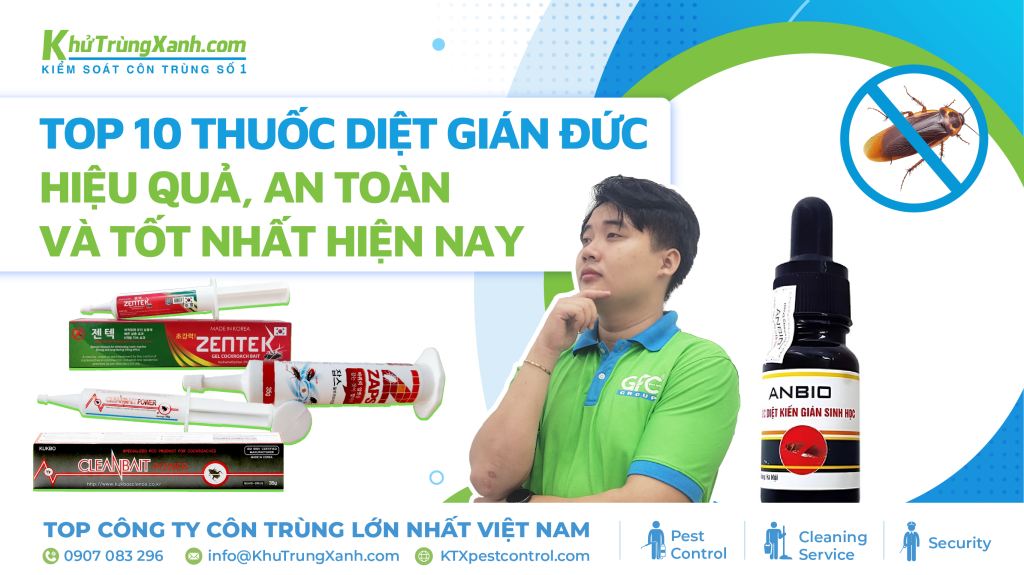 Top 10 thuốc diệt gián Đức hiệu quả, an toàn và tốt nhất hiện nay