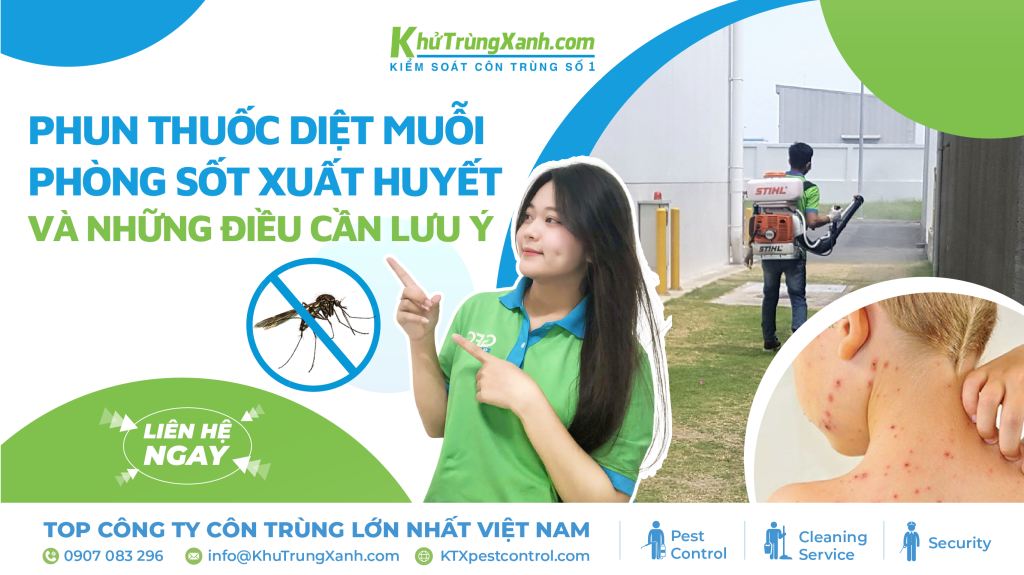 Phun thuốc diệt muỗi phòng sốt xuất huyết và những điều lưu ý 