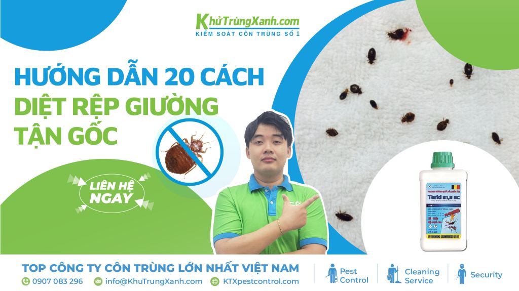Hướng dẫn 20 cách diệt rệp giường tận gốc 