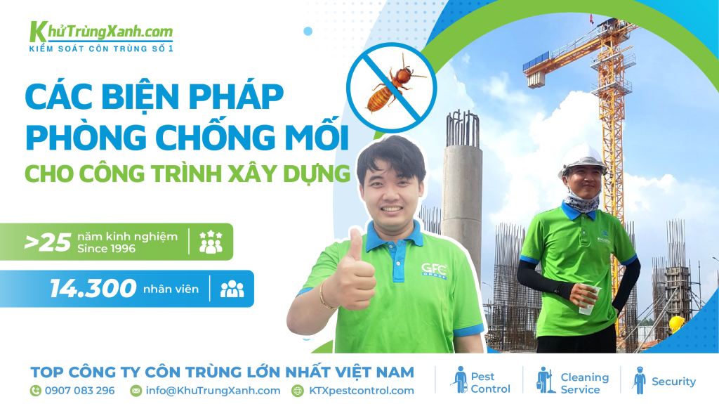 Các biện pháp phòng chống mối cho công trình xây dựng