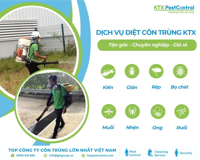 KTX nhận xử lý triệt để nhiều loại côn trùng gây hại tại Đà Nẵng