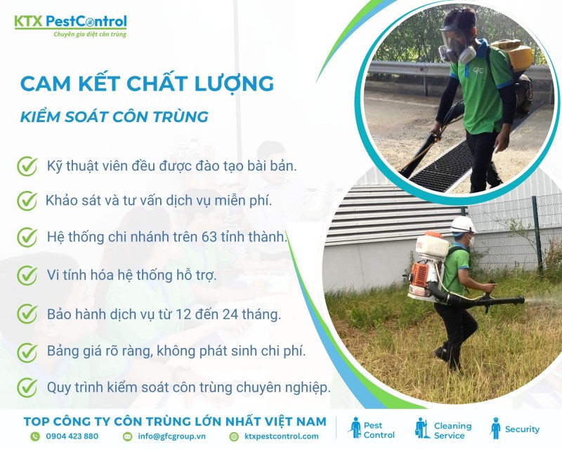 KTX cam kết cung cấp dịch vụ diệt côn trùng chất lượng cao tại Đà Nẵng