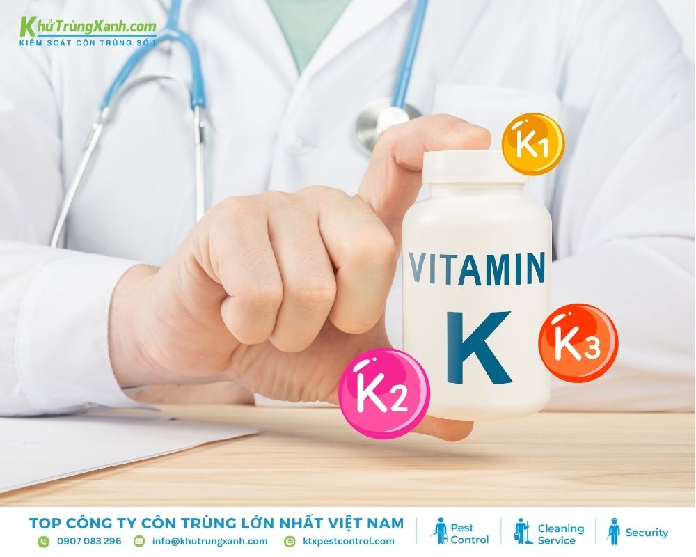Các loại vitamin K có vai trò quan trọng trong việc điều trị ngộ độc thuốc chuột