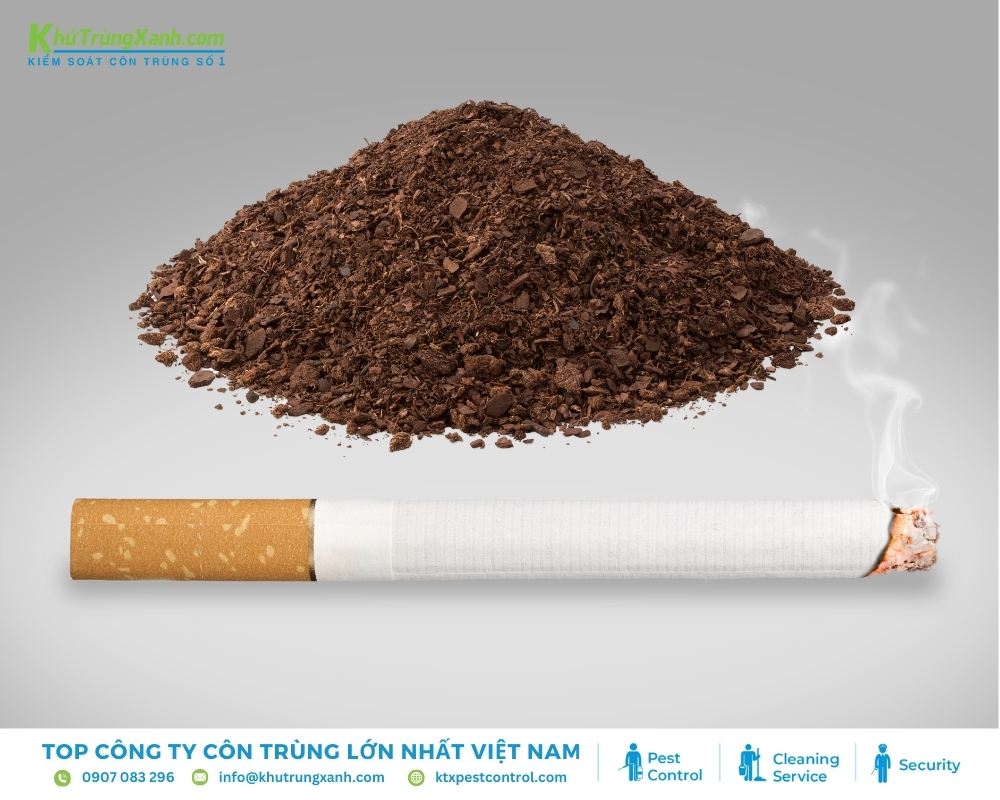 Bã cà phê và thuốc lá toả ra mùi hương mạnh mẽ giúp đuổi thằn lằn