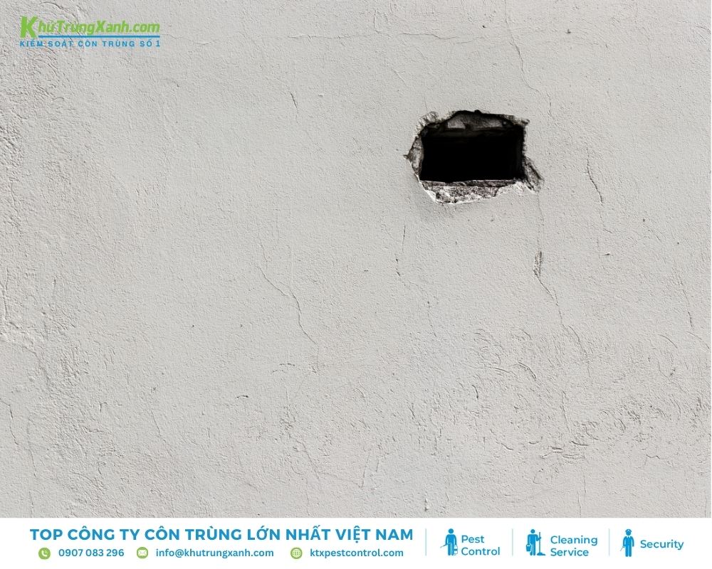 Bịt kín mọi lỗ hổng trong nhà là một phương pháp an toàn và hiệu quả để đuổi thằn lằn