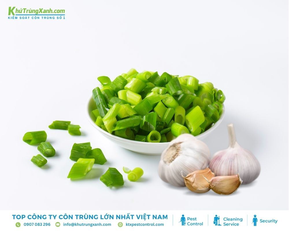 Treo hành và tỏi ở những nơi thằn lằn thường lui tới