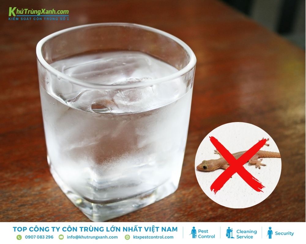 Nhiệt độ của đá lạnh sẽ khiến thằn lằn bị sốc nhiệt