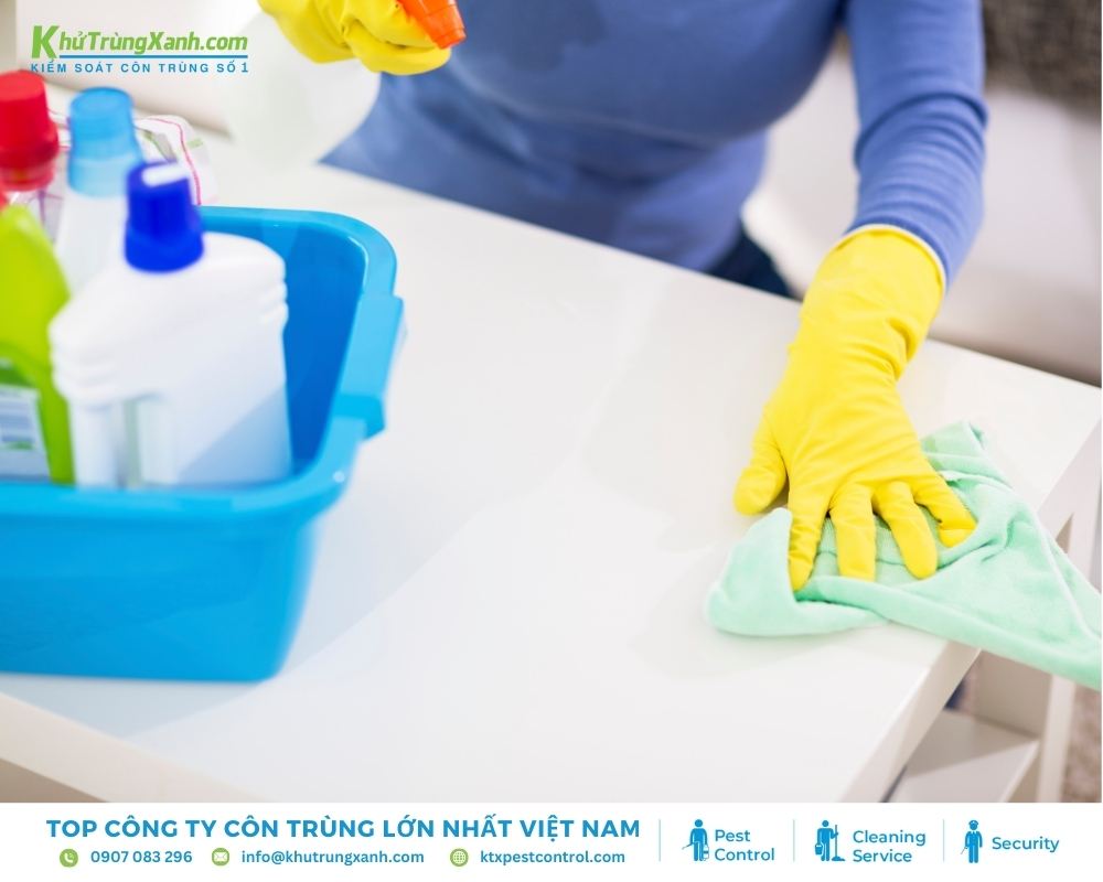 Giữ gìn vệ sinh nhà cửa không chỉ giúp giảm thằn lằn mà còn góp phần bảo vệ sức khoẻ
