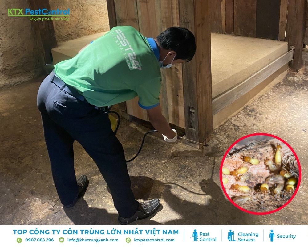 Chọn công ty diệt mối chuyên nghiệp, giàu kinh nghiệm để đảm bảo hiệu quả và an toàn tối ưu