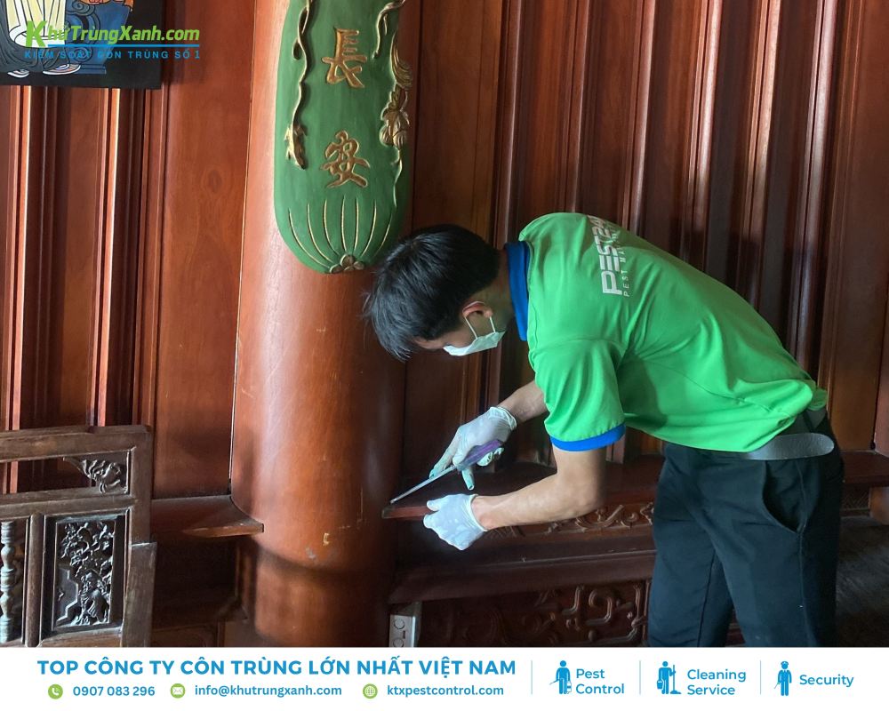 Diệt côn trùng KTX cung cấp dịch vụ diệt mối quận 12 uy tín và chuyên nghiệp