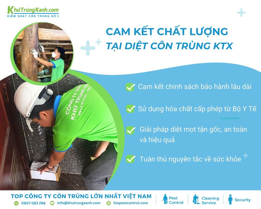 Diệt côn trùng KTX cam kết mang đến dịch vụ diệt mối hiệu quả và đáng tin cậy tại Quận 12